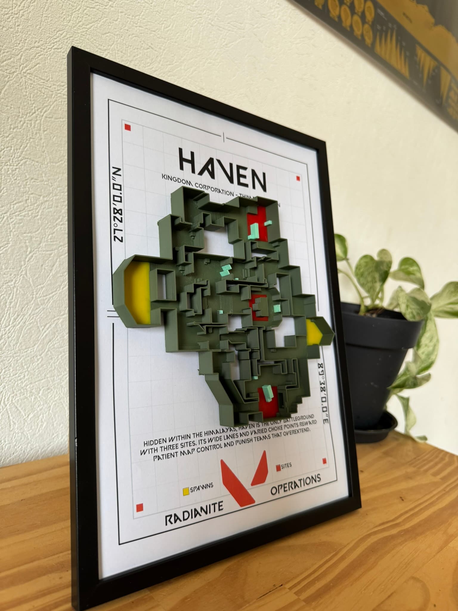 Détail d'un motif floral en relief v1